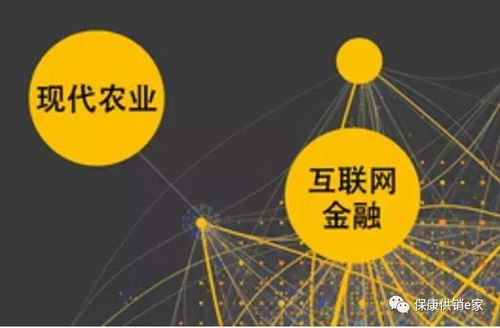 互聯網+農產品業態 ?？倒╀N社以“五有”模式助力鄉村振興